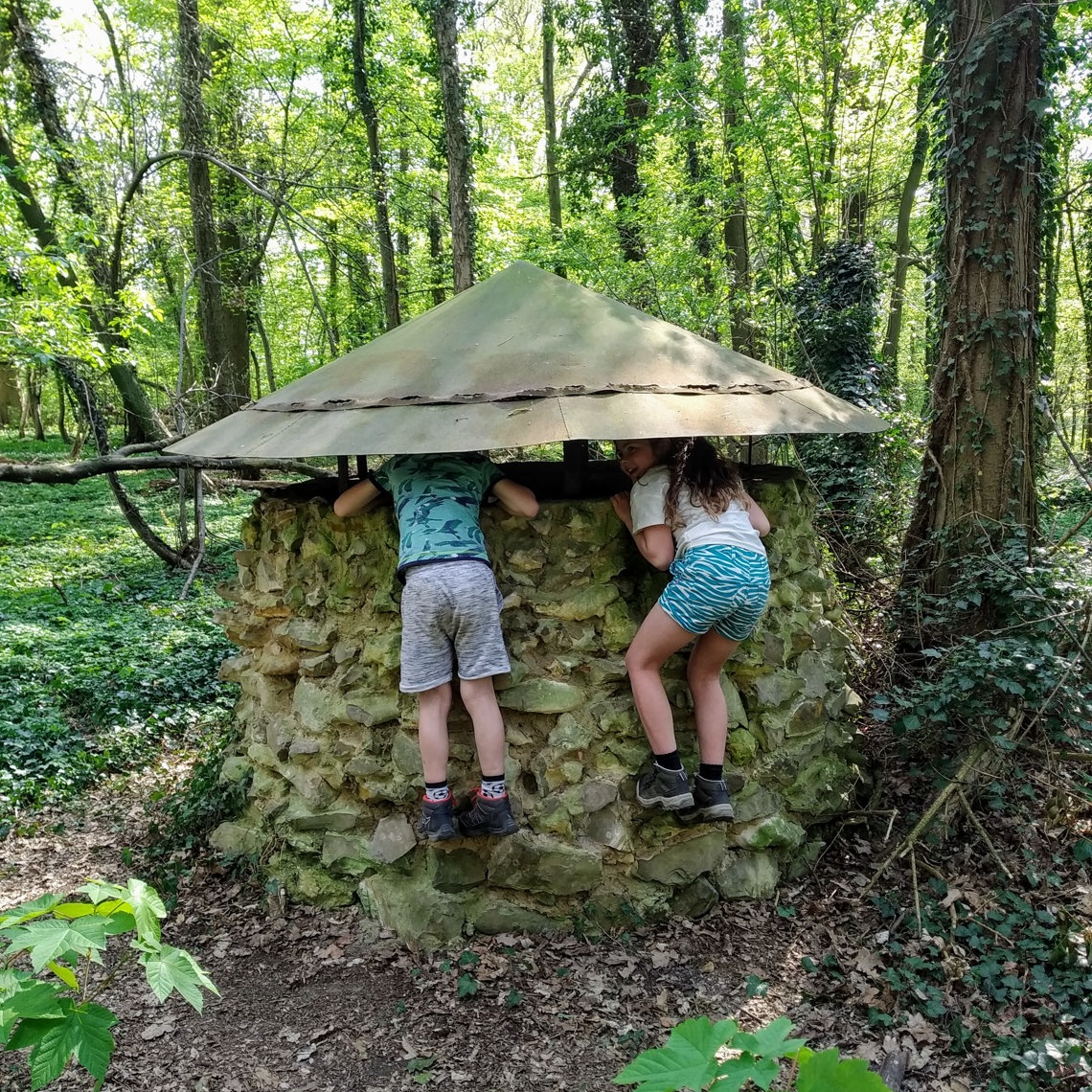 Kinderen bekijken een schacht van de Vuursteenmijn in Savelsbos