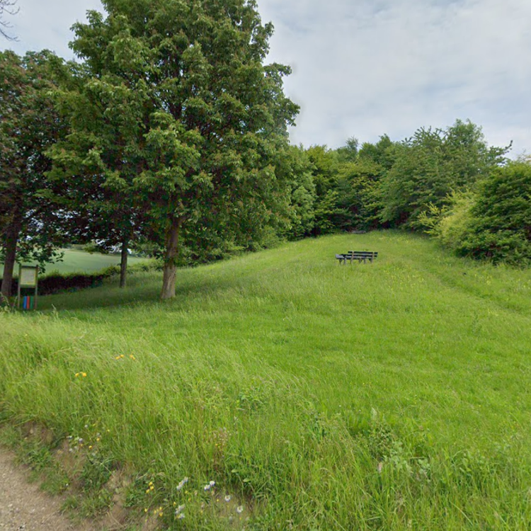 Picknickplek op weide bij de Vrakelbergerweg