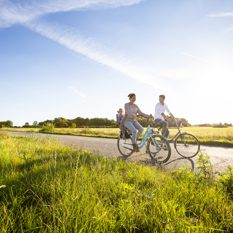 Een gezin fietst op een zonnige avond over een weg