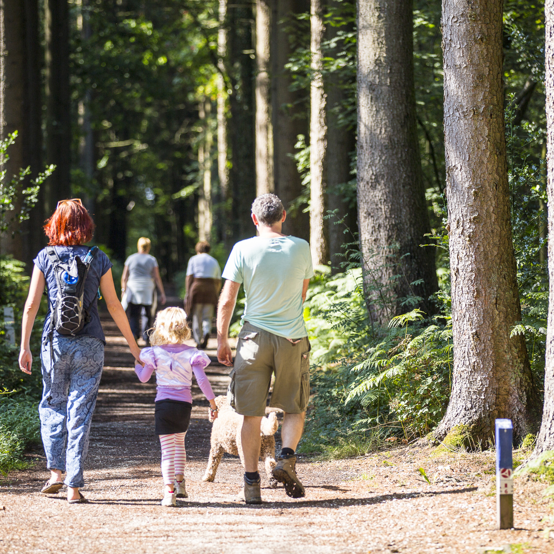 Gezin en hond wandelen door het bos