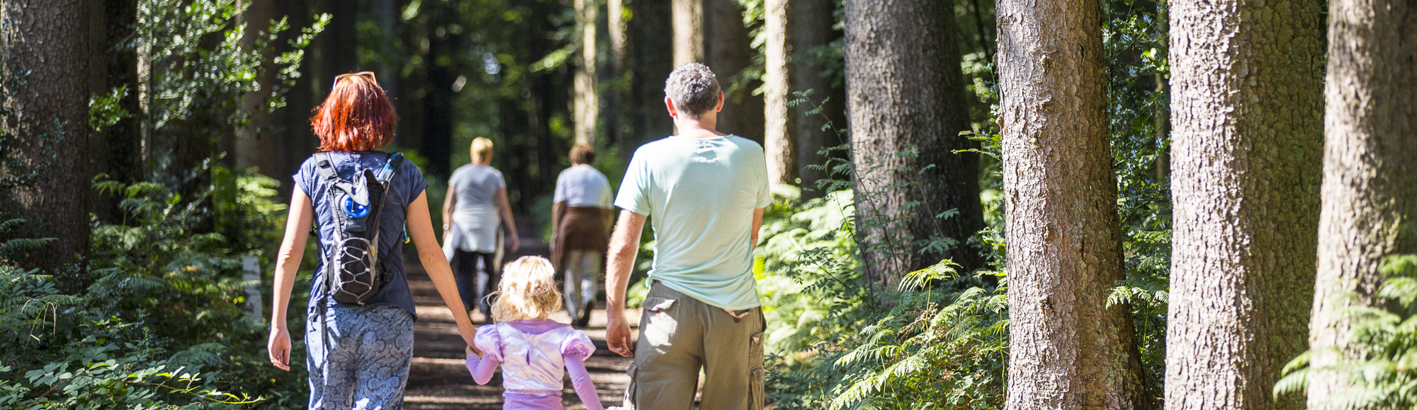 Gezin en hond wandelen door het bos