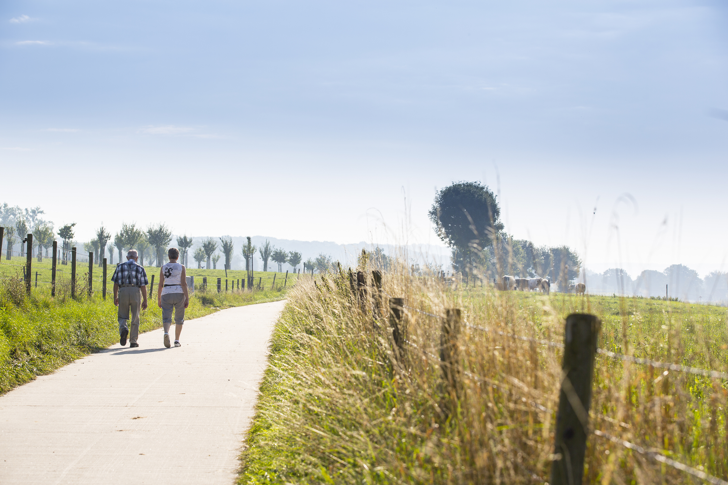 De Mooiste Wandelroutes In Zuid-Limburg