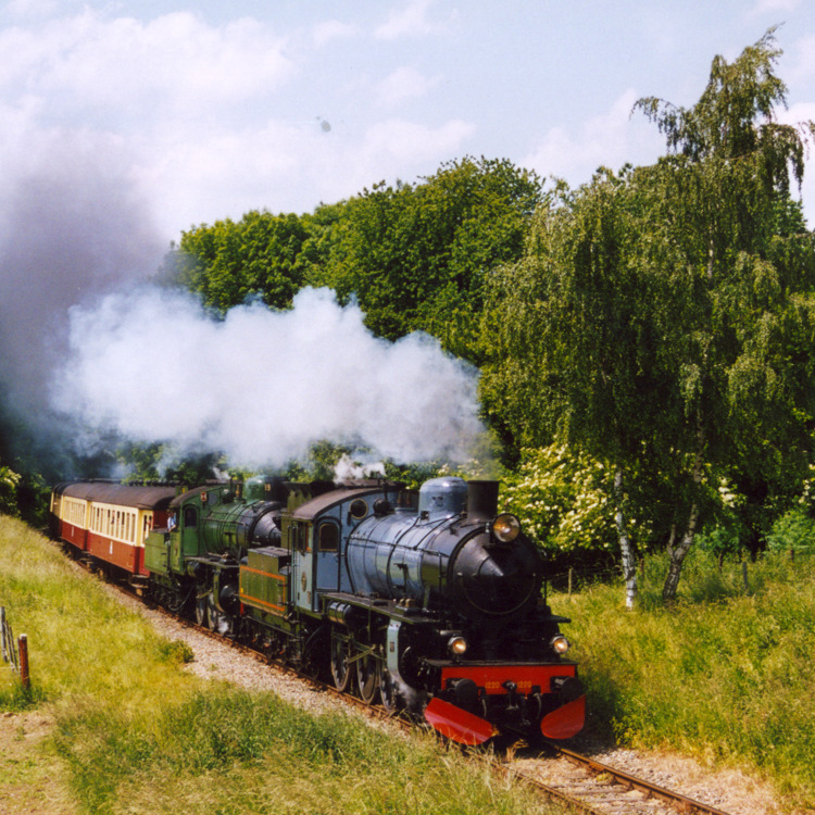 Een stoomtrein die door door een bosgebied rijd