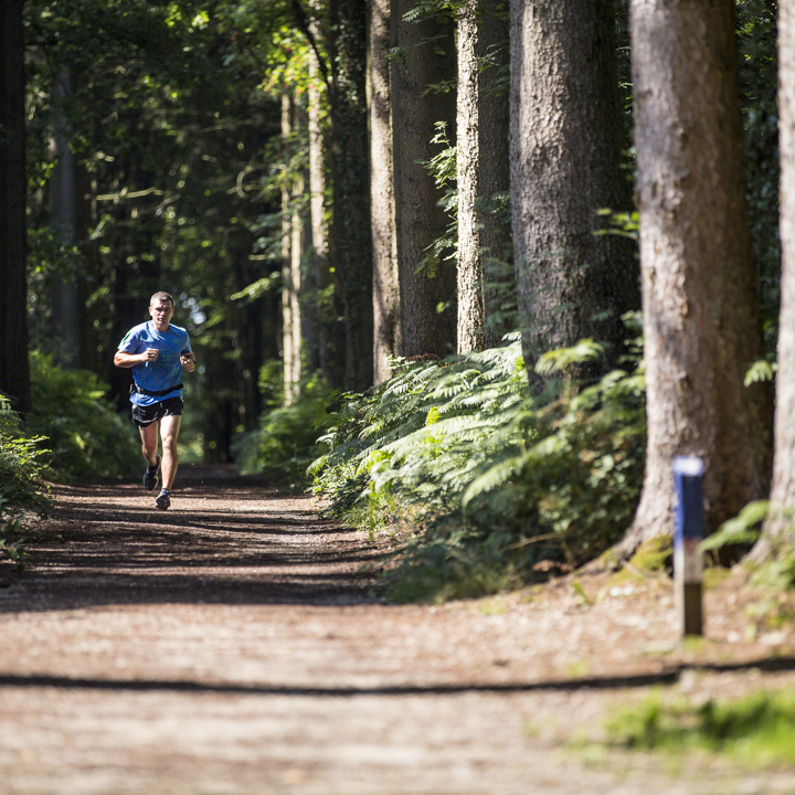 Een jogger met een blauw t-shirt rent door het Vijlenerbos