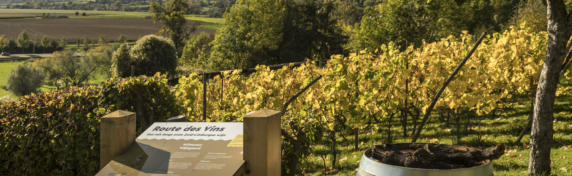 Een wijnbord van Route des Vins met uitzicht over de gele wijnranken in de herfst en de heuvels