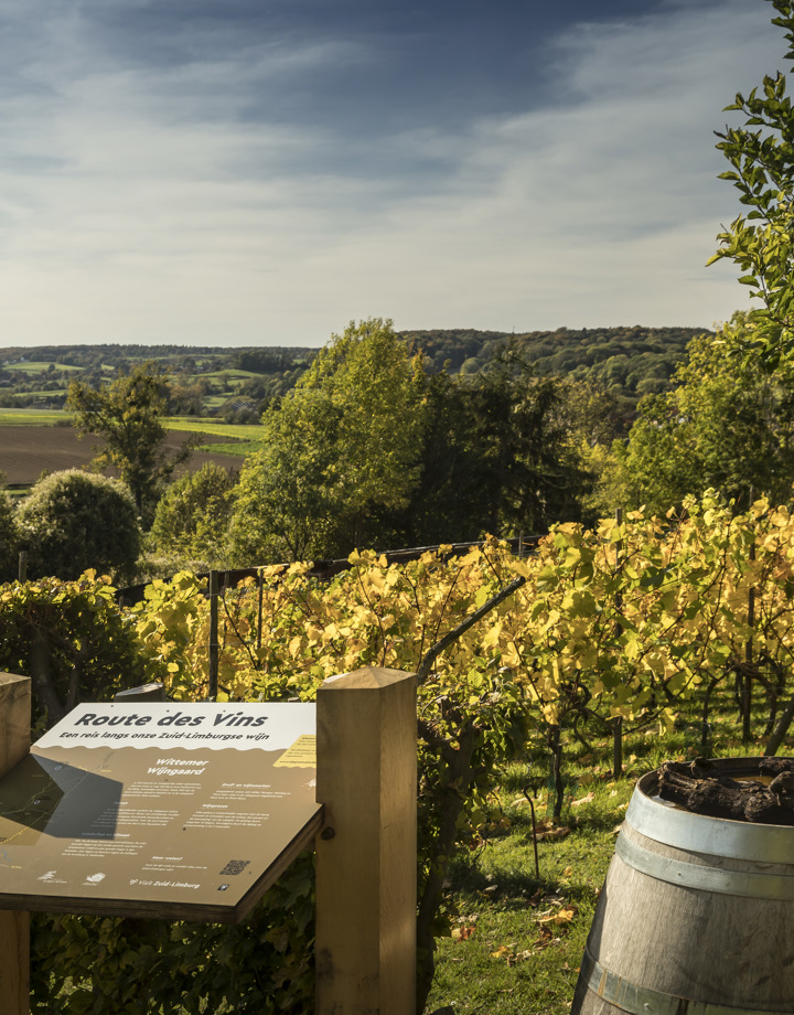 Een wijnbord van Route des Vins met uitzicht over de gele wijnranken in de herfst en de heuvels