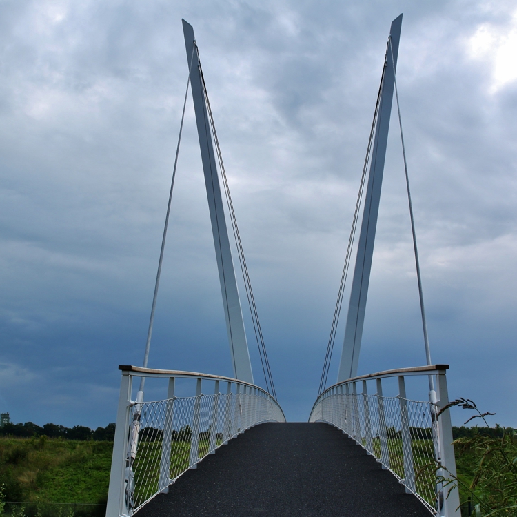 Tuibrug bij Heidekamppark in Stein