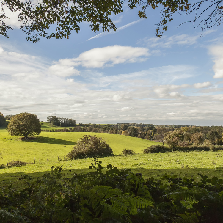 Panorama vanaf het Imstenraderbos in Heerlen