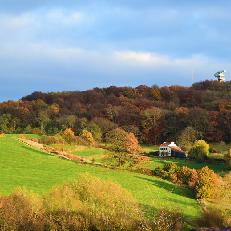 Een kleurrijk herfstlandschap op de top van de Vaalserberg