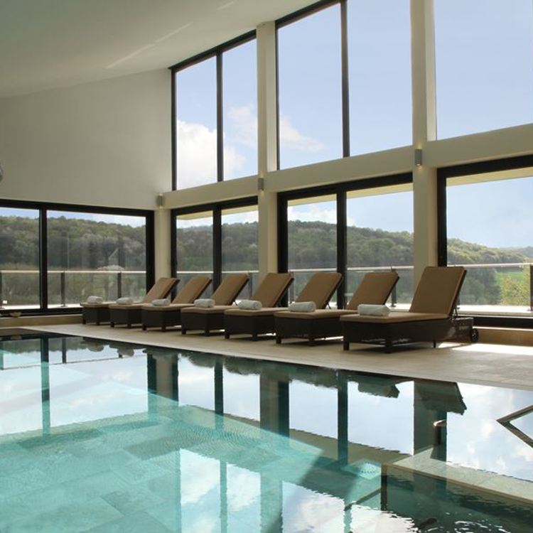 Zwembad met ligstoelen en veel ramen met uitzicht op de natuur. 
