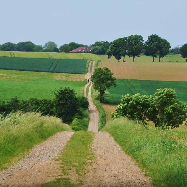 Een steil en heuvelachtig wandelpad omringd met weilanden