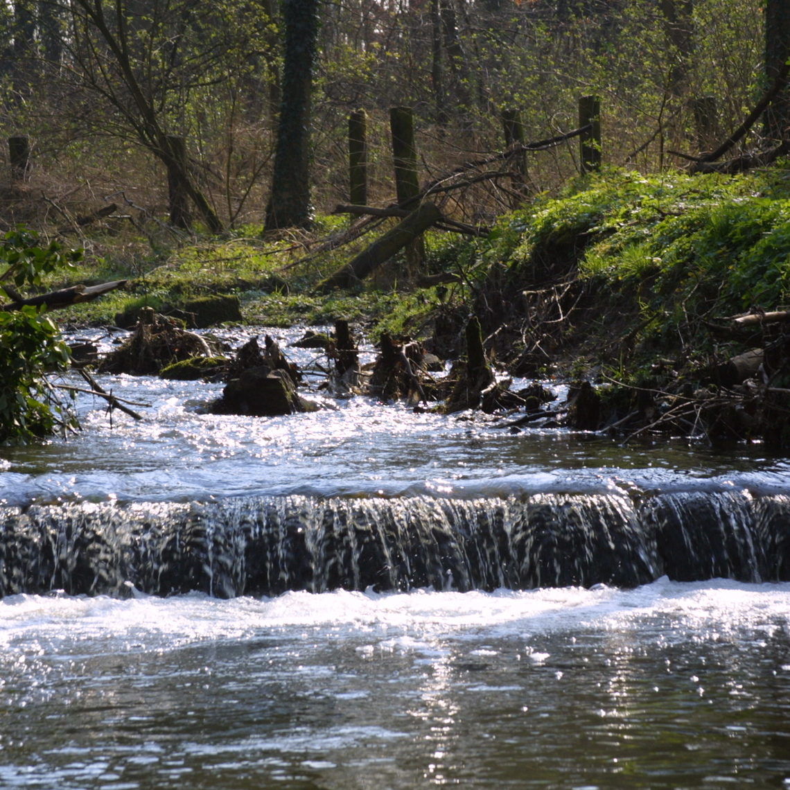 Een watervalletje in Park Gravenrode