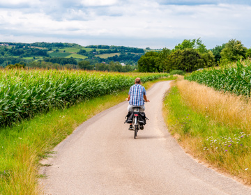 Een man met fietstassen aan zijn fiets fietst over een verharde weg met aan weerszijden volgroeide graanvelden