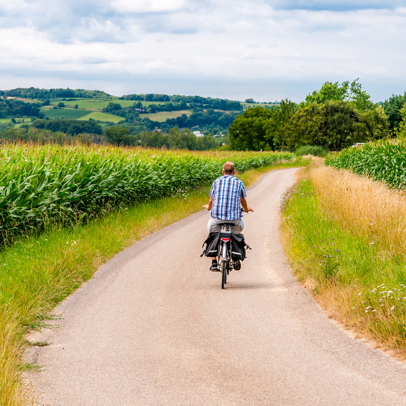 Een man met fietstassen aan zijn fiets fietst over een verharde weg met aan weerszijden volgroeide graanvelden