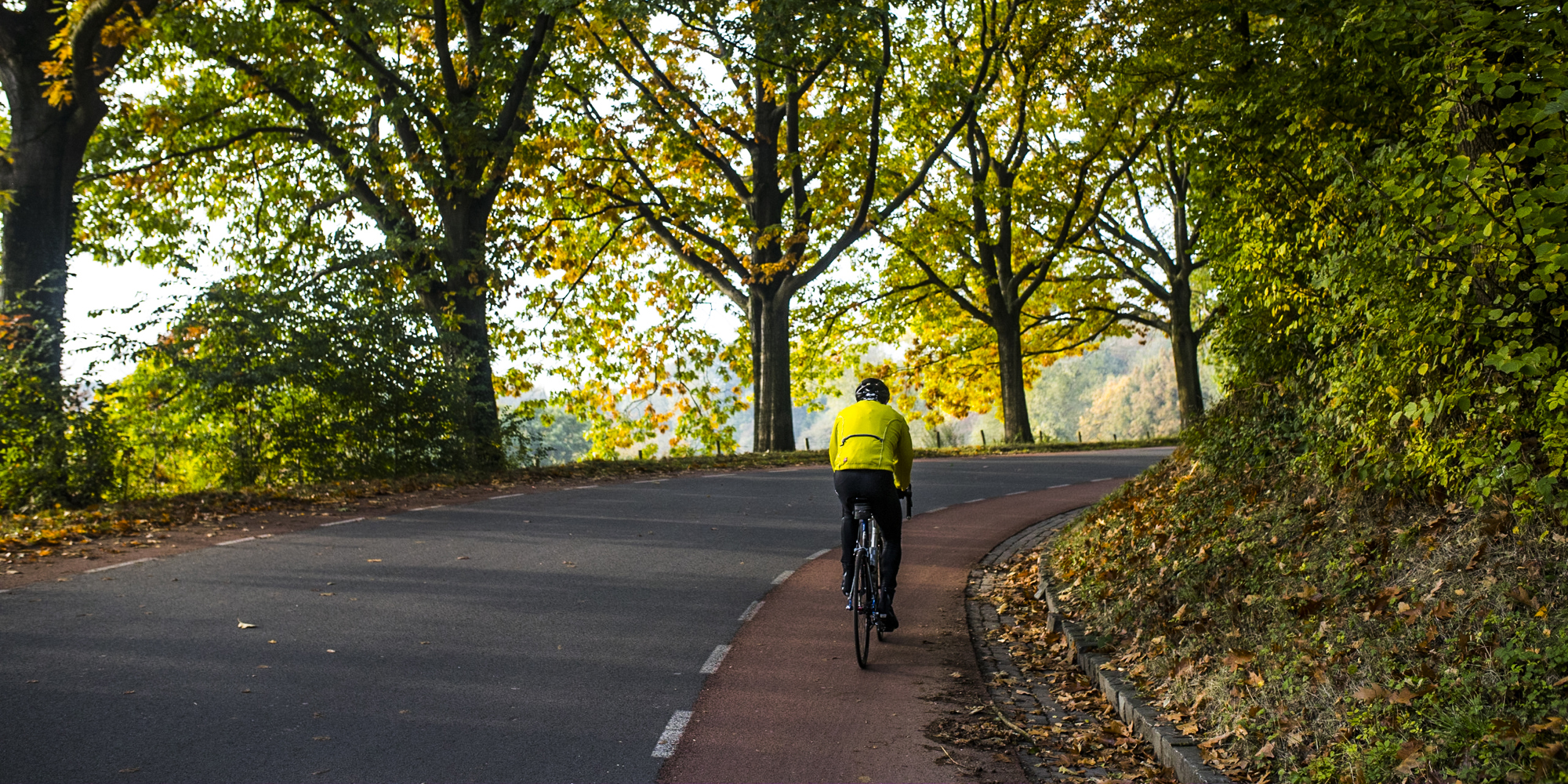 Een wielrenner beklimt de Loorberg tijdens de herfst