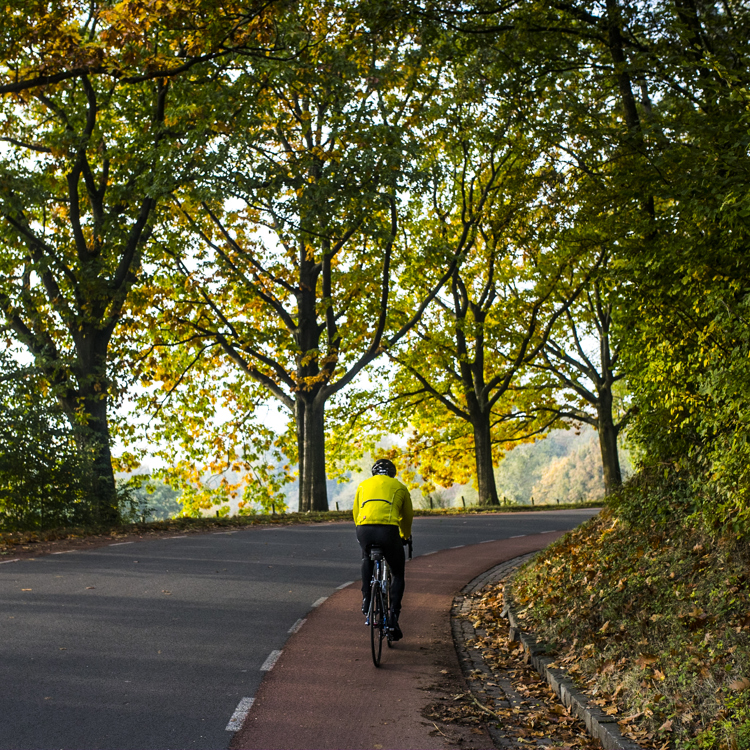 Een wielrenner beklimt de Loorberg tijdens de herfst