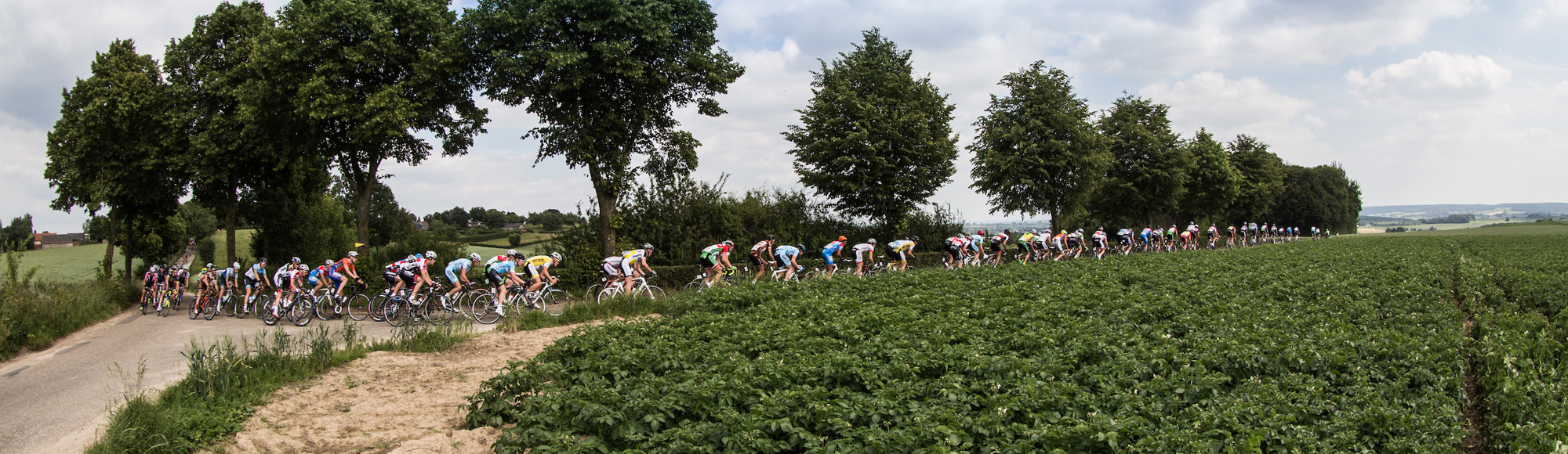 Een peloton wielrenners fietst over een plateau in Zuid-Limburg
