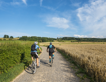 Twee mountainbikers fietsen over een verharde weg langs een graanveld 