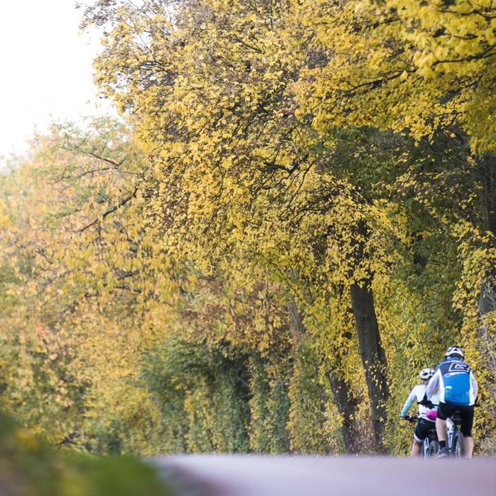 twee mountainbikers fietsen over verharde weg in de herfst