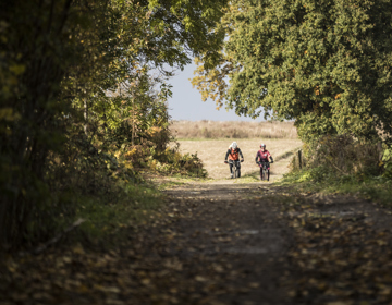 Twee mountainbikers in aantocht over een holle weg