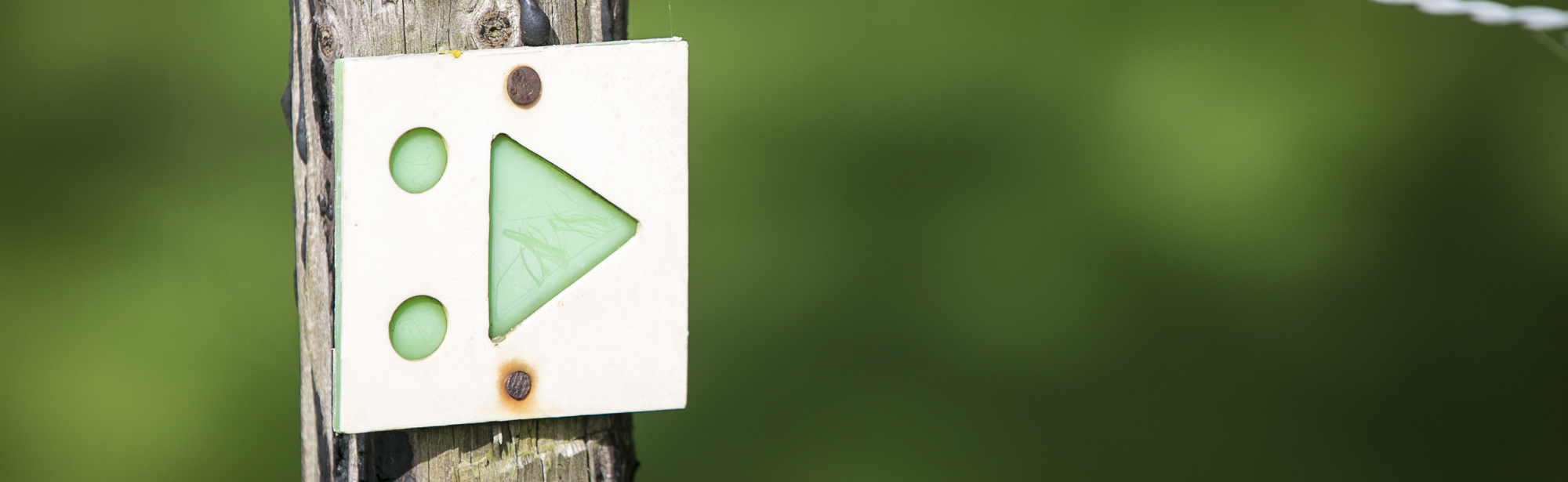 Een bewegwijzeringsbordje voor mountainbikers met groene dubbele punt en pijltje naar rechts bevestigd op een houten paal