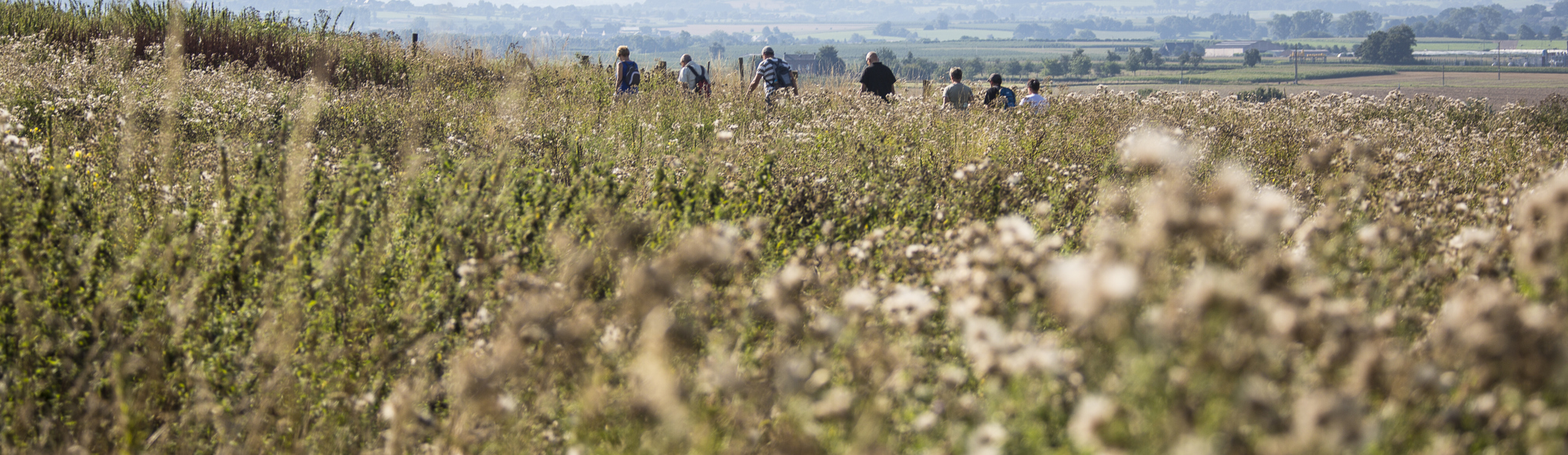 Een groep mensen wandelt door een natuurgebied