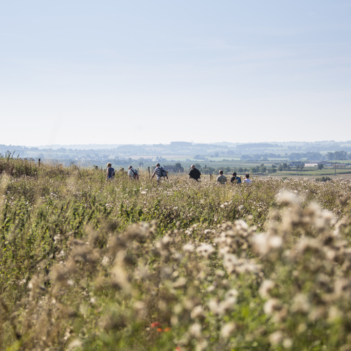 Een groep mensen wandelt door een natuurgebied