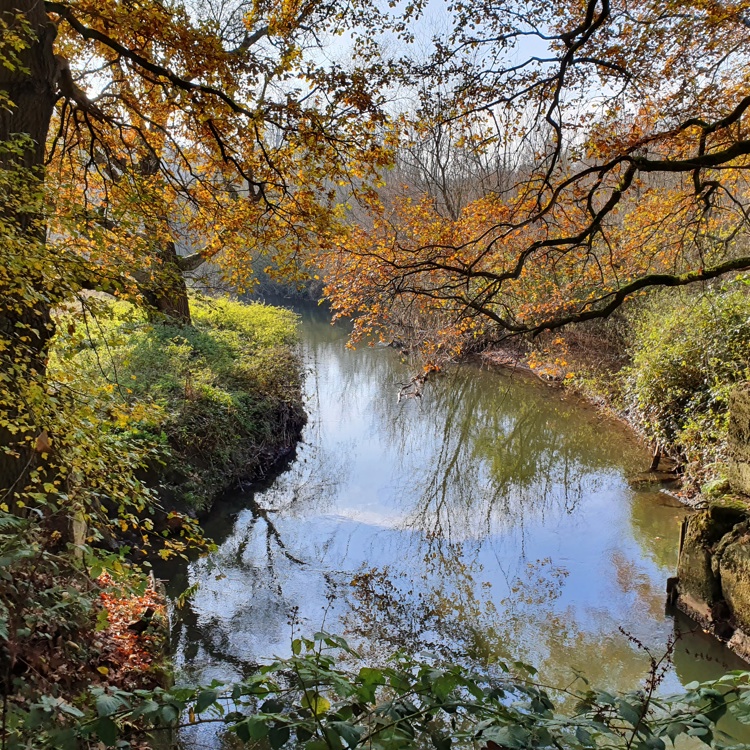 Een beekje dat stroomt door een herfstachtig landschap