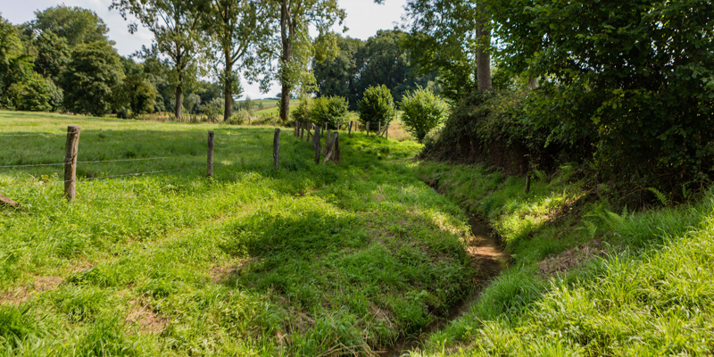 Een klein beekje stroomt door een groen vlak landschap