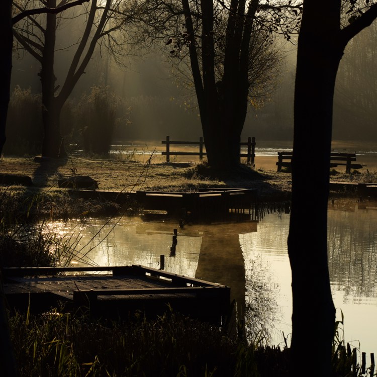 Een schaduwrijke foto van de bomen en natuur bij de Mulderplas