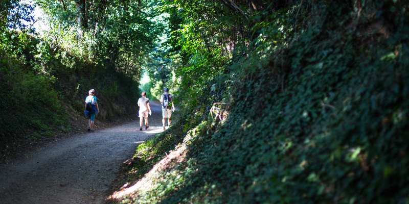 Drie mensen wandelen door een schaduwrijke holle weg