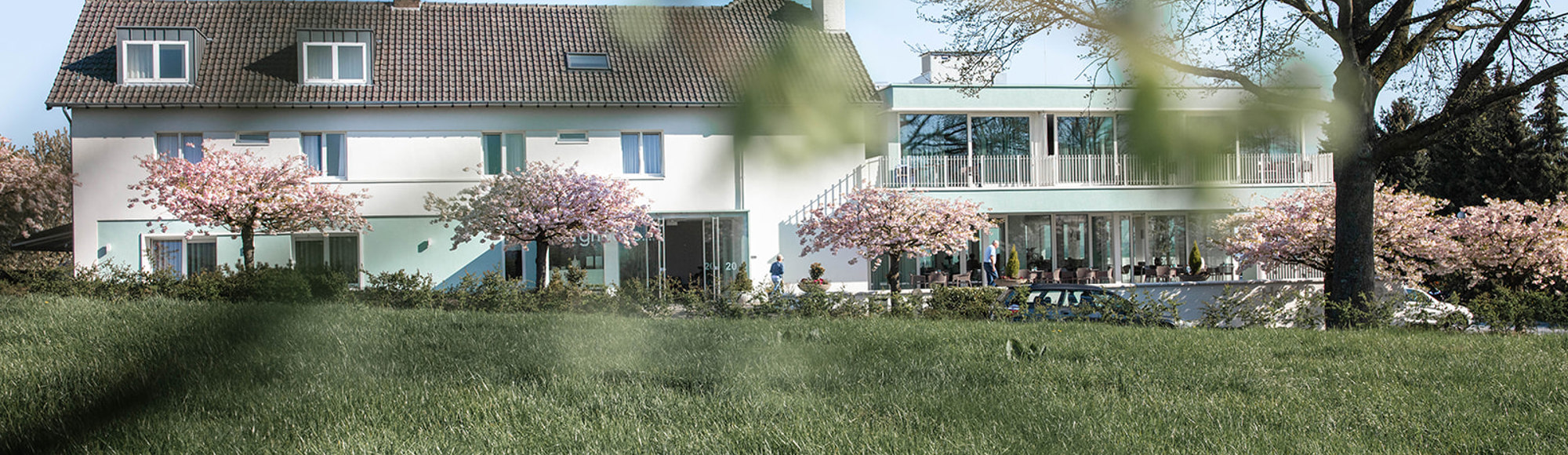 doorkijkje door de takken naar een modern wit hotel met roze bloesembomen. 