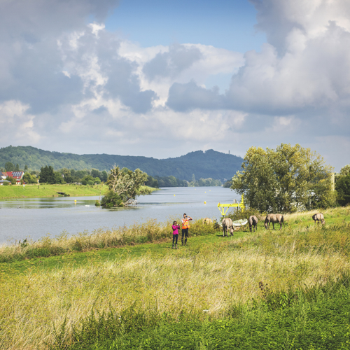 Twee mensen en konikspaarden op een weiland met de maas en heuvels op de achtergrond