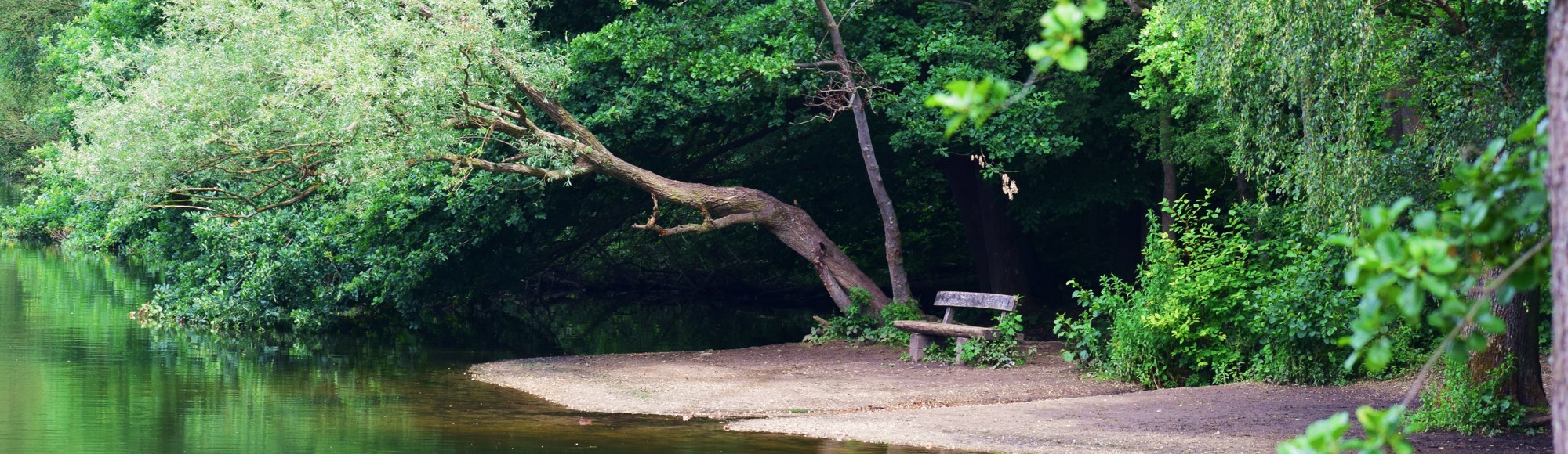 Zitbank omringt door bomen, aan de vijver in de Anstelvallei te Kerkrade