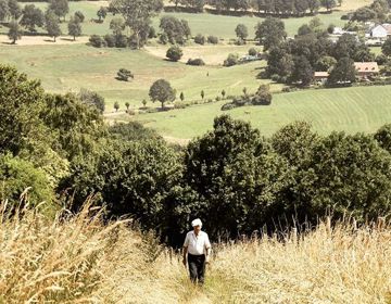 Wandelaar onderweg in heuvellandschap met achterliggende weiden en bossen @Sandraengels73