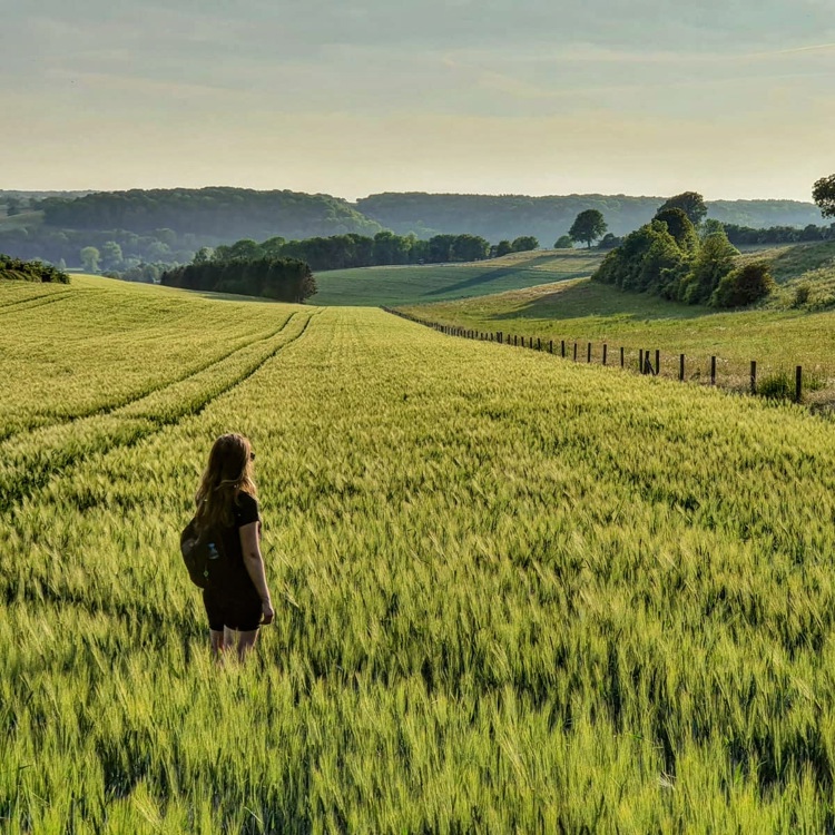 Vrouw staat in een veld en kijkt naar het uitzicht