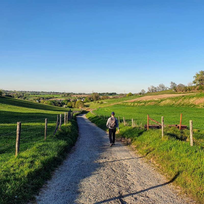 Wandelaar in het glooiend landschap bij Wijlre