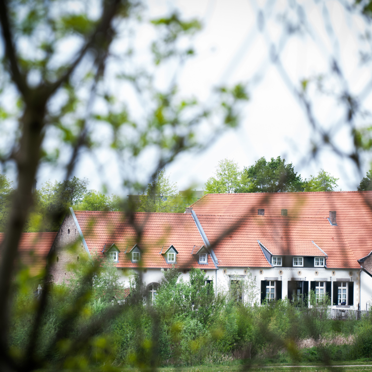 Uitzicht door de struiken van het gebouw van de Biesenhof