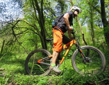Een mountainbiker met een oranje broek fietst door het bos in de zomer