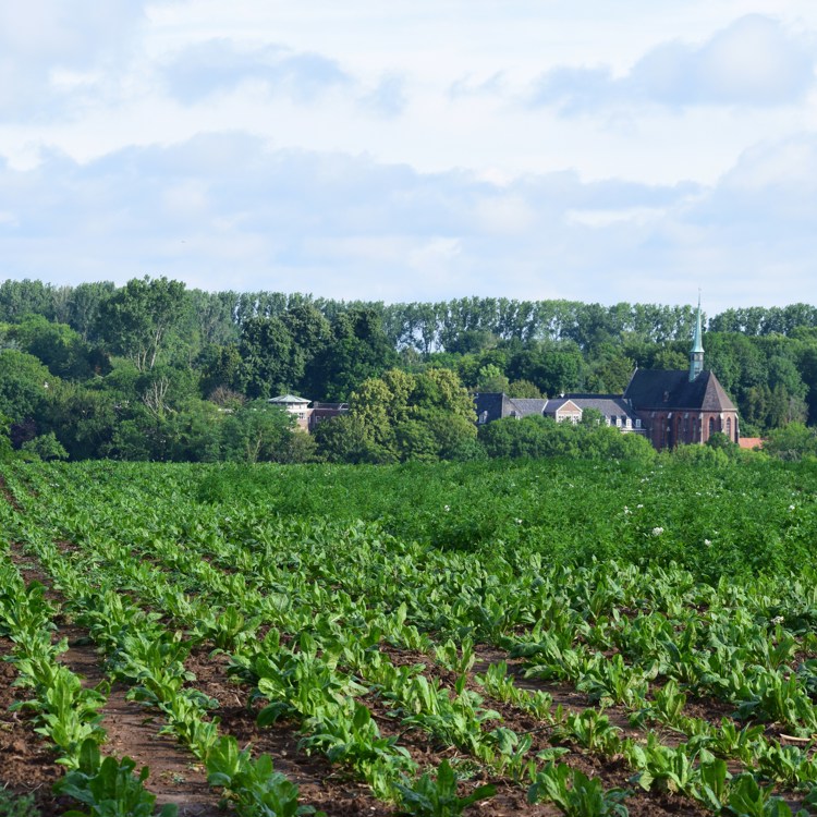 Akkerveld met kerk in de verte