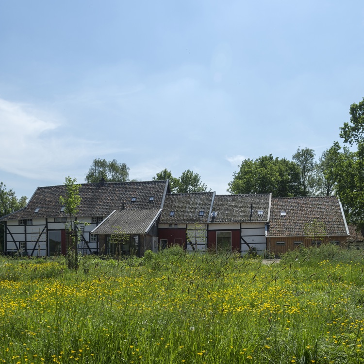 Oude vakwerkwoning met hoog gras eromheen. 