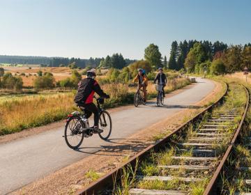 Verschillende fietsers fietsen op een verharde weg naast een treinspoor en natuurgebied