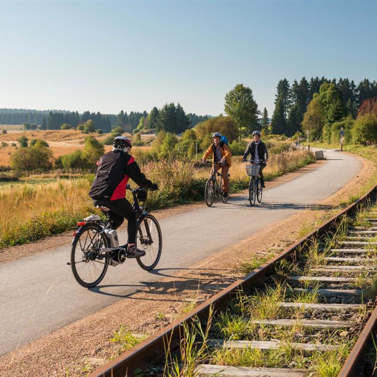 Verschillende fietsers fietsen op een verharde weg naast een treinspoor en natuurgebied