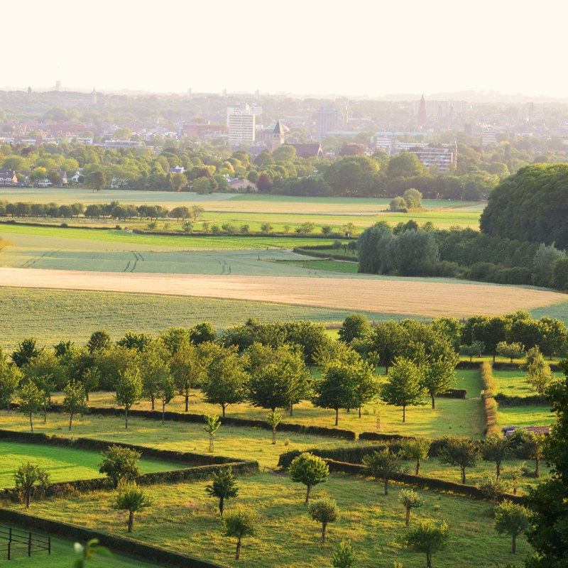 Panorama vanaf Bemelerberg over weilanden met uitzicht over Maastricht