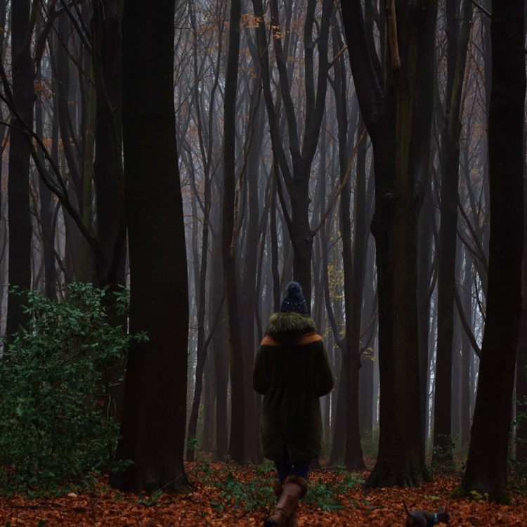 Vrouw loopt over herfstbladeren door Onderste Bovenste bos