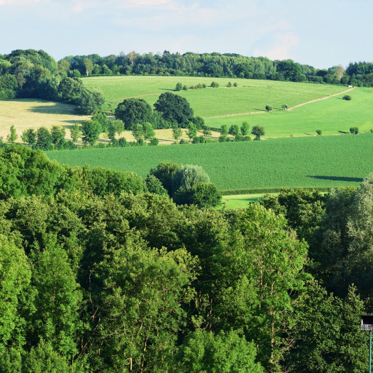 Een panorama over het groene en heuvelachtige Noordal in Noorbeek