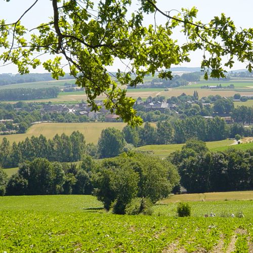 Uitzicht over heuvels met weilanden en bomen