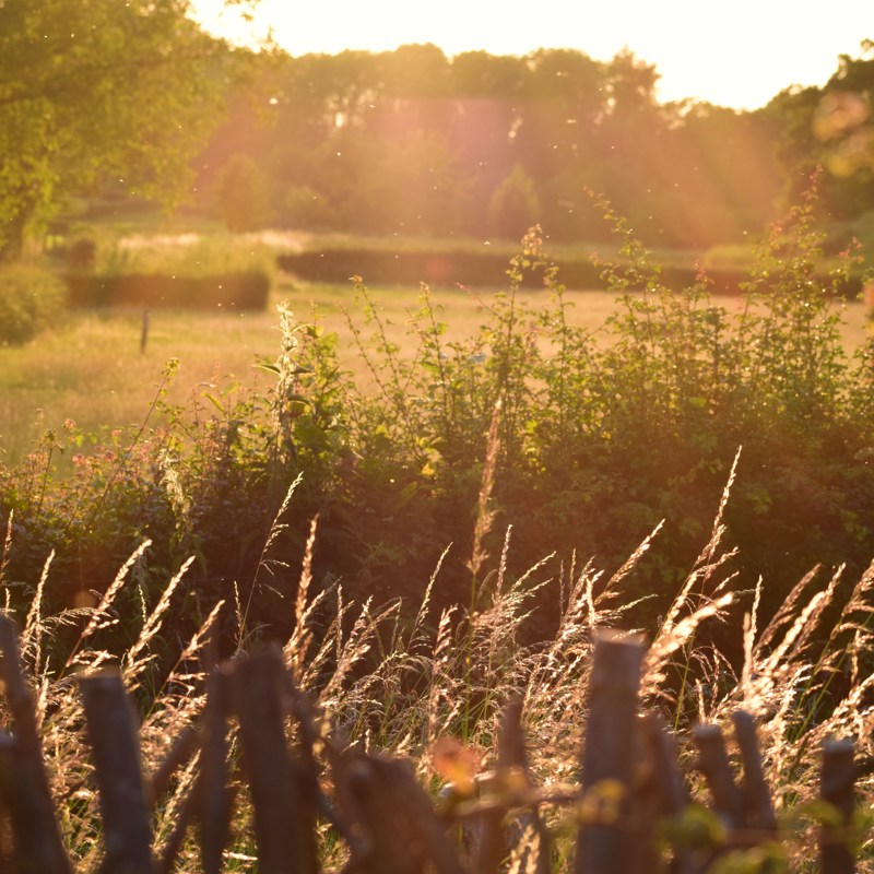 Mooi zonlicht schijnt op groen landschap