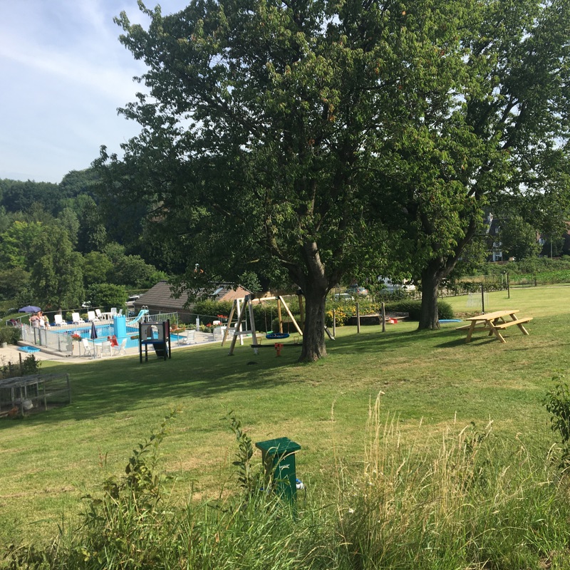 Grasweide op een camping met in de verte een buitenzwembad. 