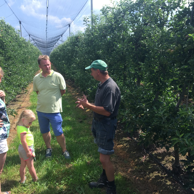 Man geeft twee ouders en een kind uitleg tussen de appelbomen. 